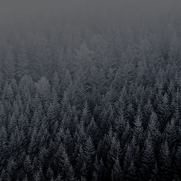 papers.co-ad04-wallpaper-ios8-iphone6-plus-apple-official-default-night-snow-mountain-wallpaper