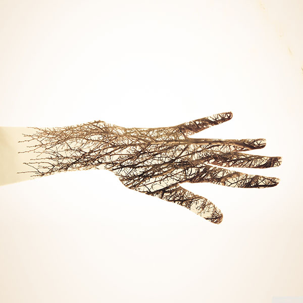 papers.co-af96-holleyandchris-branched-out-hand-nature-wallpaper