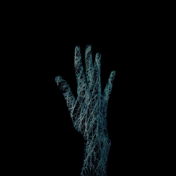 papers.co-af98-holleyandchris-blue-branched-out-hand-nature-wallpaper