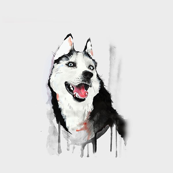 papers.co-ai25-happy-dog-husky-animal-illust-watercolor-wallpaper