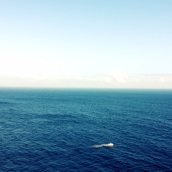 papers.co-ma34-sea-pals-nature-wallpaper