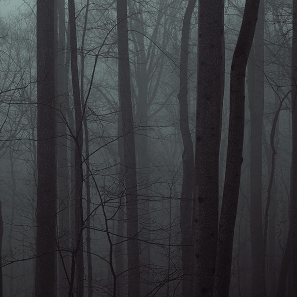 papers.co-md94-zing-trees-blue-wood-mountain-wallpaper