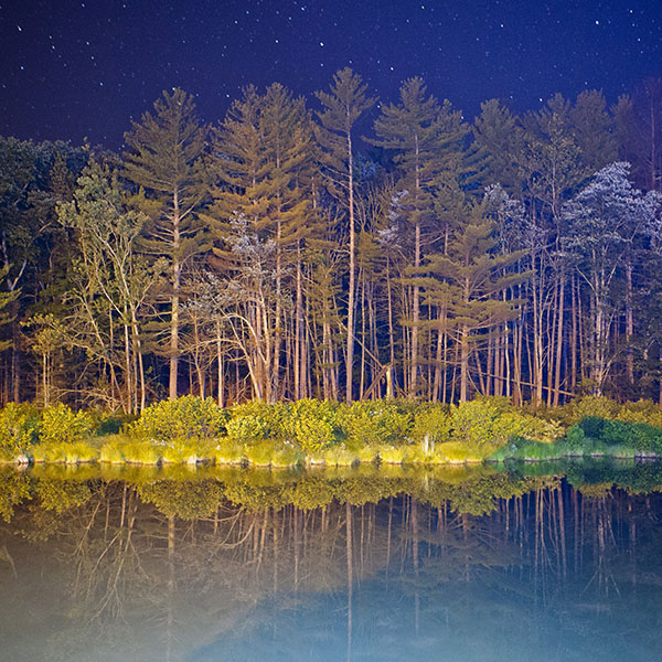 papers.co-mg67-night-wood-with-lake-nature-wallpaper
