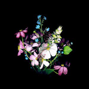 papers.co-ad17-wallpaper-apple-ios8-iphone6-small-dark-flower-1-wallpaper