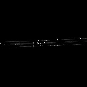 papers.co-ad90-birds-nature-minimal-dark-1-wallpaper