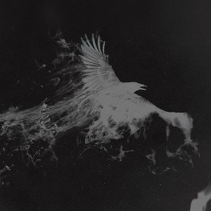 papers.co-af10-white-bird-smoke-art-illust-1-wallpaper