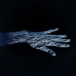 papers.co-af97-holleyandchris-dark-branched-out-hand-nature-1-wallpaper