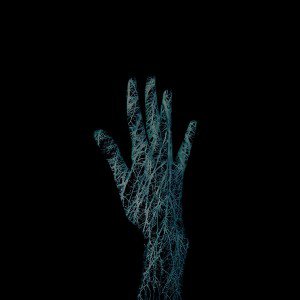 papers.co-af98-holleyandchris-blue-branched-out-hand-nature-1-wallpaper