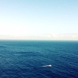 papers.co-ma34-sea-pals-nature-1-wallpaper