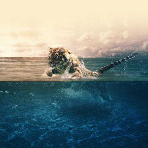 papers.co-ma95-tiger-running-blue-sea-nature-1-wallpaper