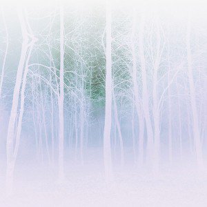 papers.co-mb15-wallpaper-foggy-forest-white-1-wallpaper