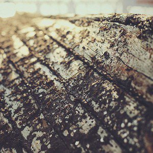 papers.co-mc86-wallpaper-boat-sunrise-tree-texture-1-wallpaper