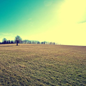 papers.co-mc94-wallpaper-autumn-fall-field-green-nature-1-wallpaper
