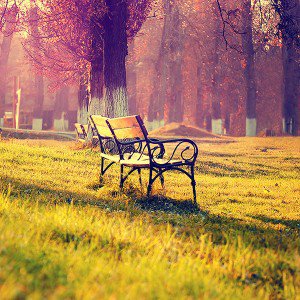 papers.co-md15-wallpaper-fall-park-chair-lonely-nature-1-wallpaper1