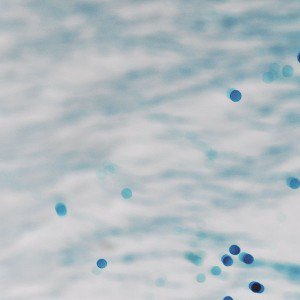 papers.co-md19-wallpaper-night-lake-blue-bokeh-blur-1-wallpaper