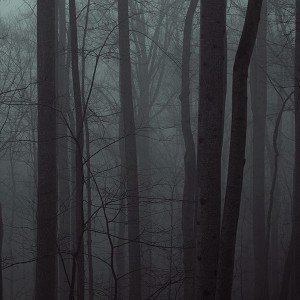papers.co-md94-zing-trees-blue-wood-mountain-1-wallpaper