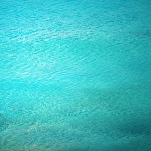 papers.co-me38-clear-sea-ocean-life-1-wallpaper