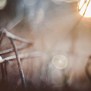 papers.co-me50-light-at-camp-nature-1-wallpaper