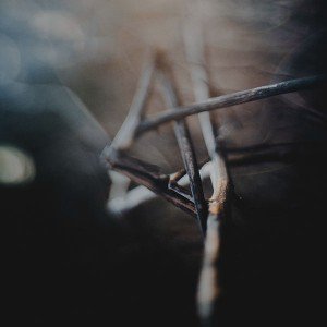 papers.co-me51-light-at-dark-camp-nature-1-wallpaper