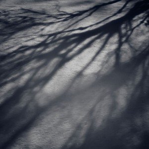 papers.co-mi65-snow-shadow-winter-tree-nature-1-wallpaper