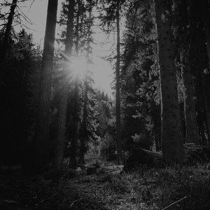 papers.co-mi95-mountain-sunlight-bw-marco-jorger-nature-1-wallpaper