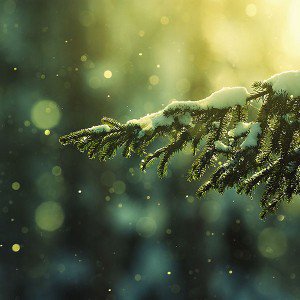 papers.co-mk27-snowing-tree-winter-nature-mountain-1-wallpaper