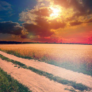 papers.co-mm00-hot-sunny-day-instagram-look-nature-farm-1-wallpaper