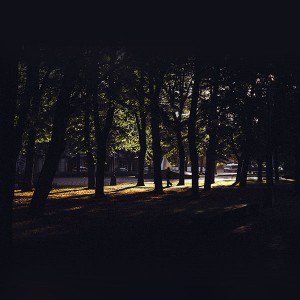 papers.co-mo41-backyard-wood-nature-in-city-1-wallpaper
