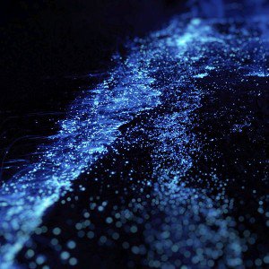 Bio luminescence. Illumination of plankton at Maldives. Many par