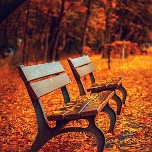 papers.co-mp71-fall-road-mountain-autumn-leave-nature-red-1-wallpaper