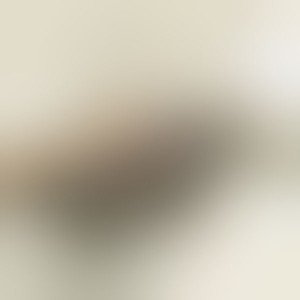 papers.co-sb90-puppy-love-blur-1-wallpaper