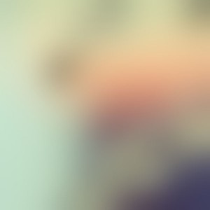 papers.co-sc07-spring-flower-white-smile-moments-blur-1-wallpaper