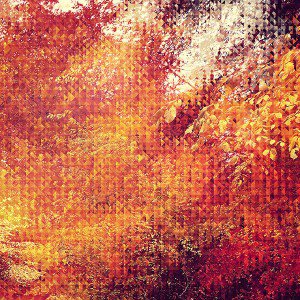 papers.co-va37-september-pattern-1-wallpaper