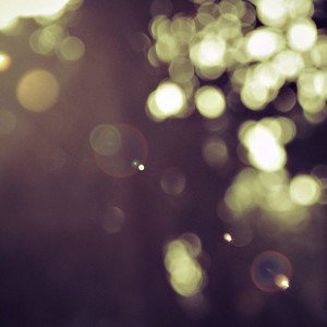 papers.co-vd06-sunny-bokeh-through-trees-lovely-day-1-wallpaper